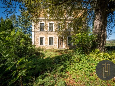 MAISON A VENDRE - LE BREUIL - 460 m2 - 850000 €