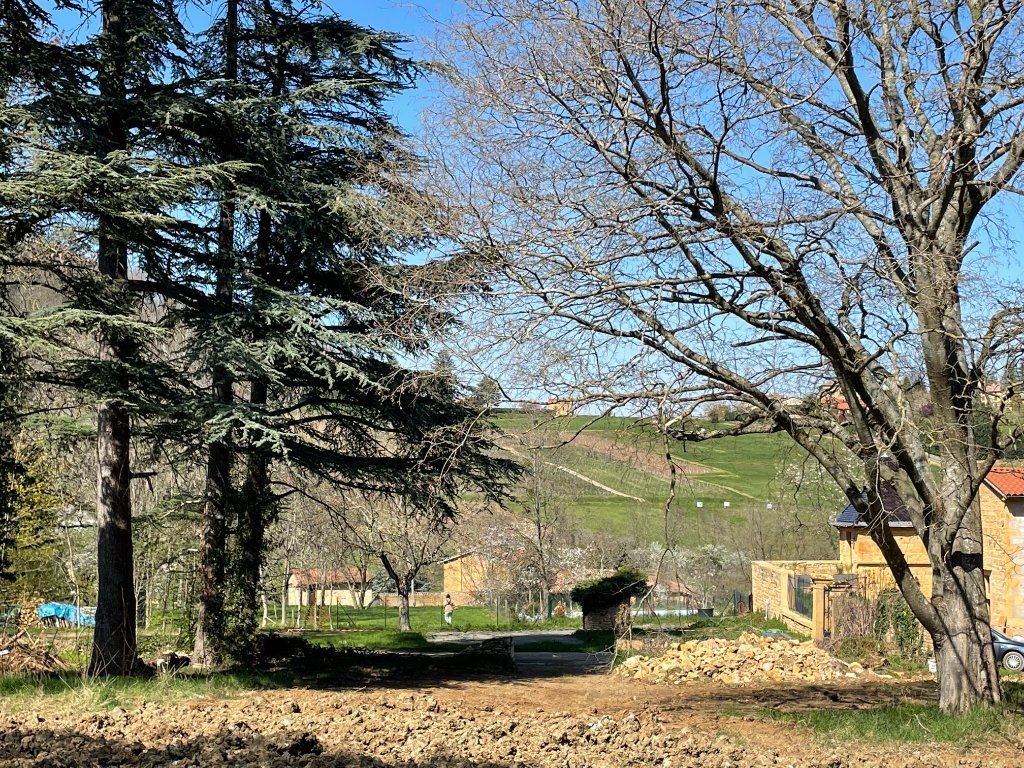 TERRAIN A VENDRE - VILLE SUR JARNIOUX - 727 m2 - 185000€