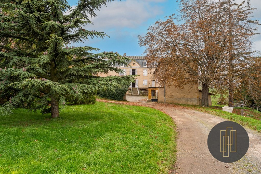 PROPRIETE A VENDRE - VILLEFRANCHE SUR SAONE - 530 m2 - 1850000 €