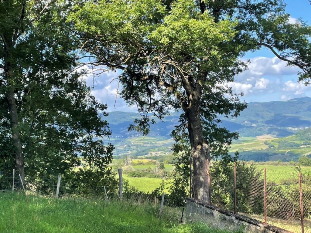 TERRAIN A VENDRE - OINGT - 1663 m2 - 215000€