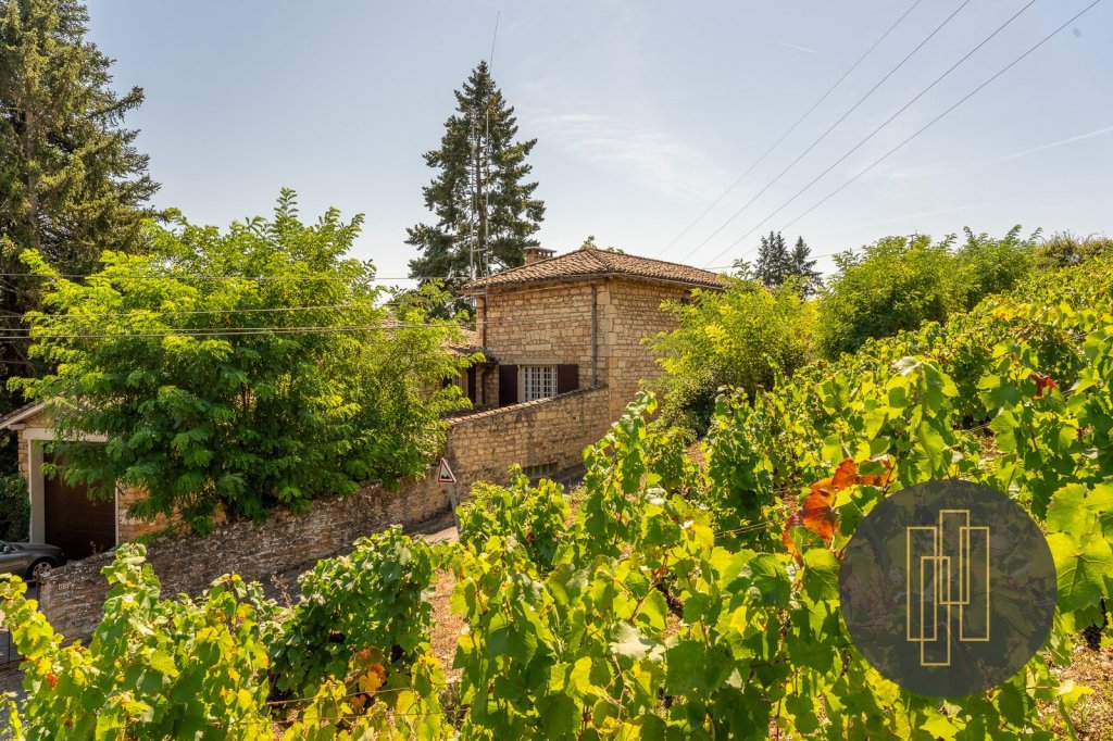 PROPRIETE A VENDRE - POMMIERS - 240 m2 - 560000€