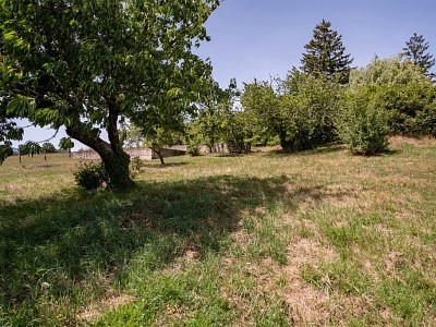 MAISON A VENDRE - GLEIZE - 200 m2 - 495000 €