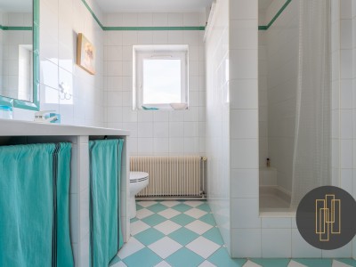 BELLE MAISON DE FAMILLE A VENDRE - VILLEFRANCHE SUR SAONE - 219 m2 - 635000 €
